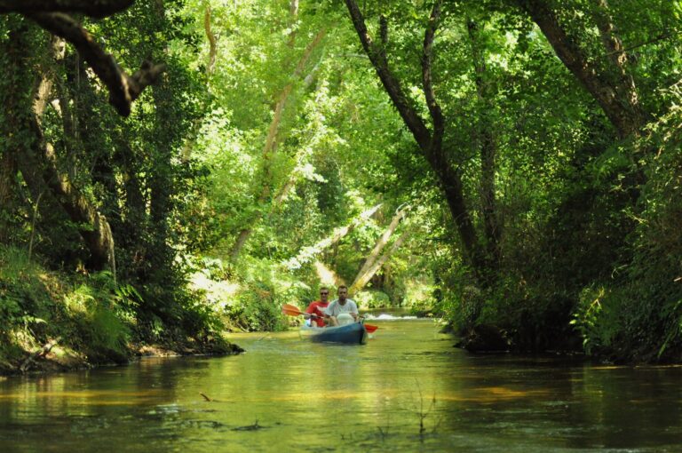 Canoë naviguant sur le Courant de Contis, entouré de végétation luxuriante