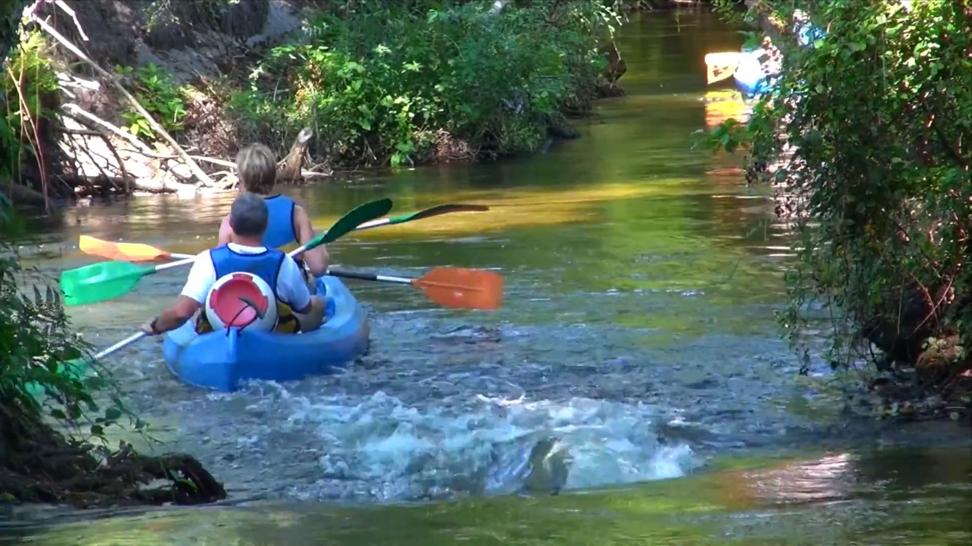 Descente en canoë sur le Courant de Contis