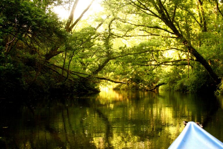 Descente en canoë sur le Courant de Contis — parcours de 8 km